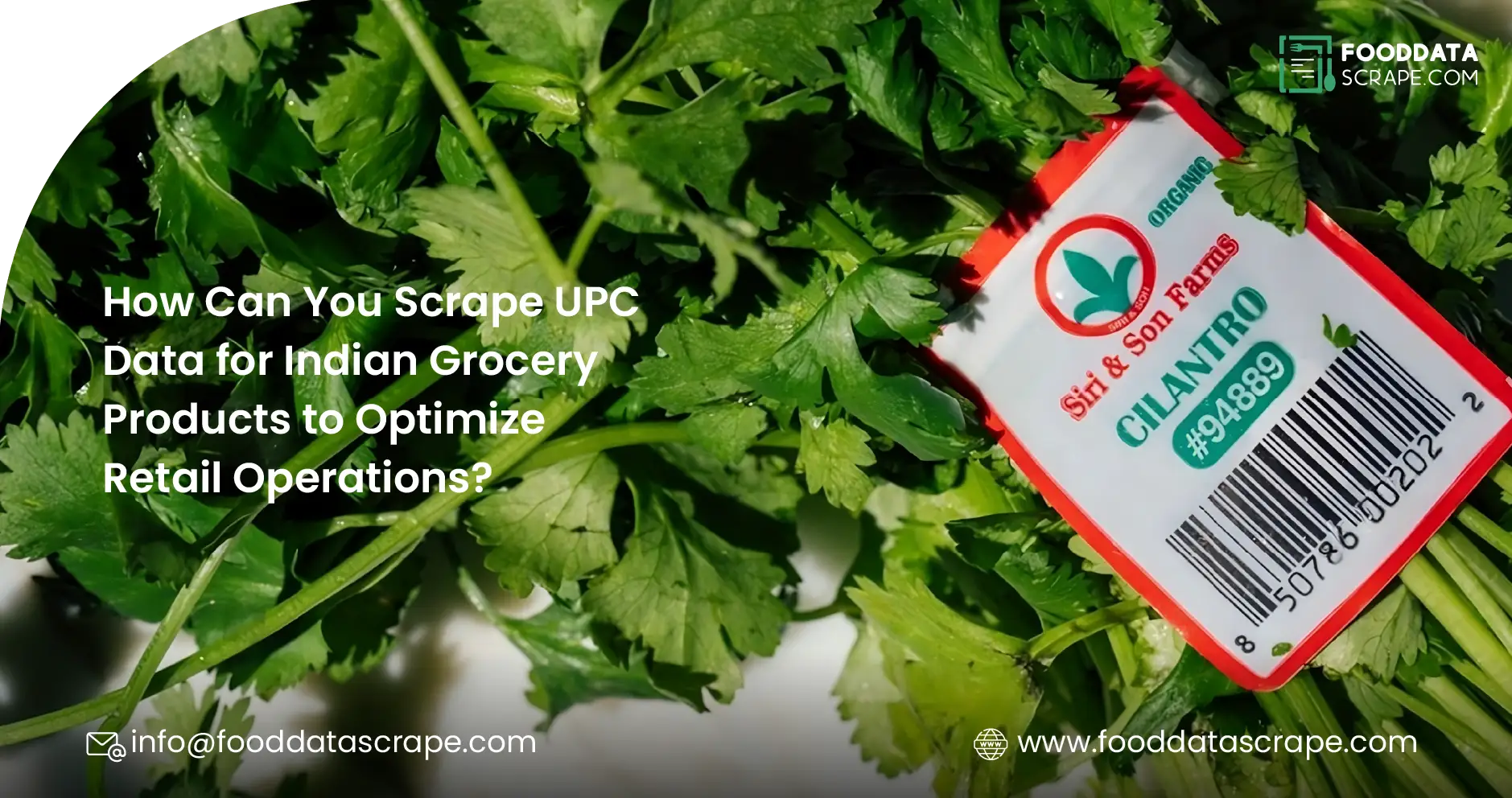 How-Can-Web-Scraping-Weekly-Grocery-Prices-from-Blinkit